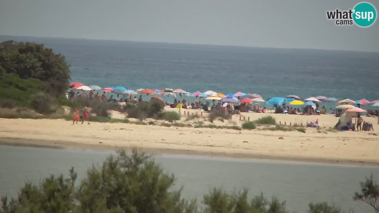 Spletna kamera Chia – Pogled v živo na plažo Su Giudeu
