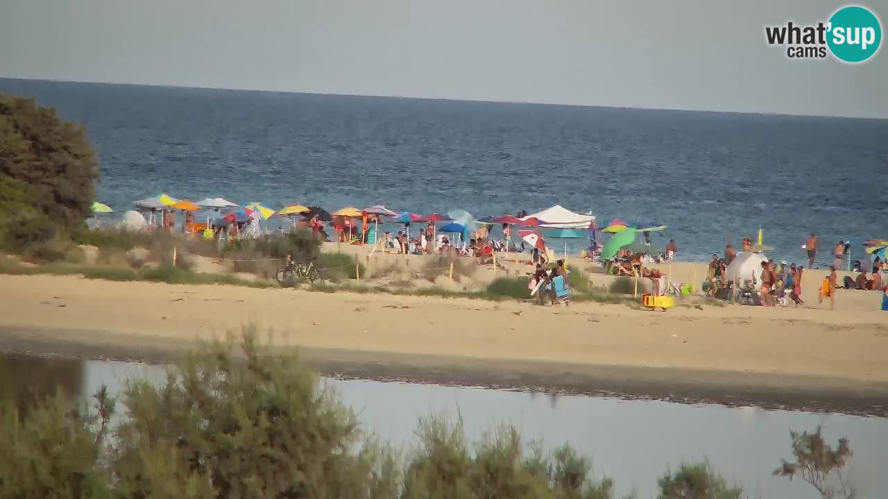 Webcam Chia – Live View of Su Giudeu Beach