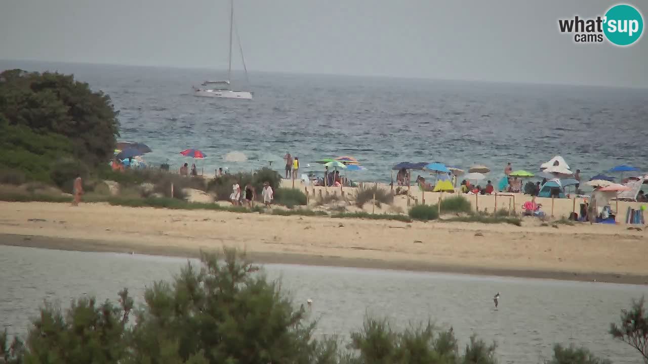 Webcam Chia – Vista en directo de la playa Su Giudeu