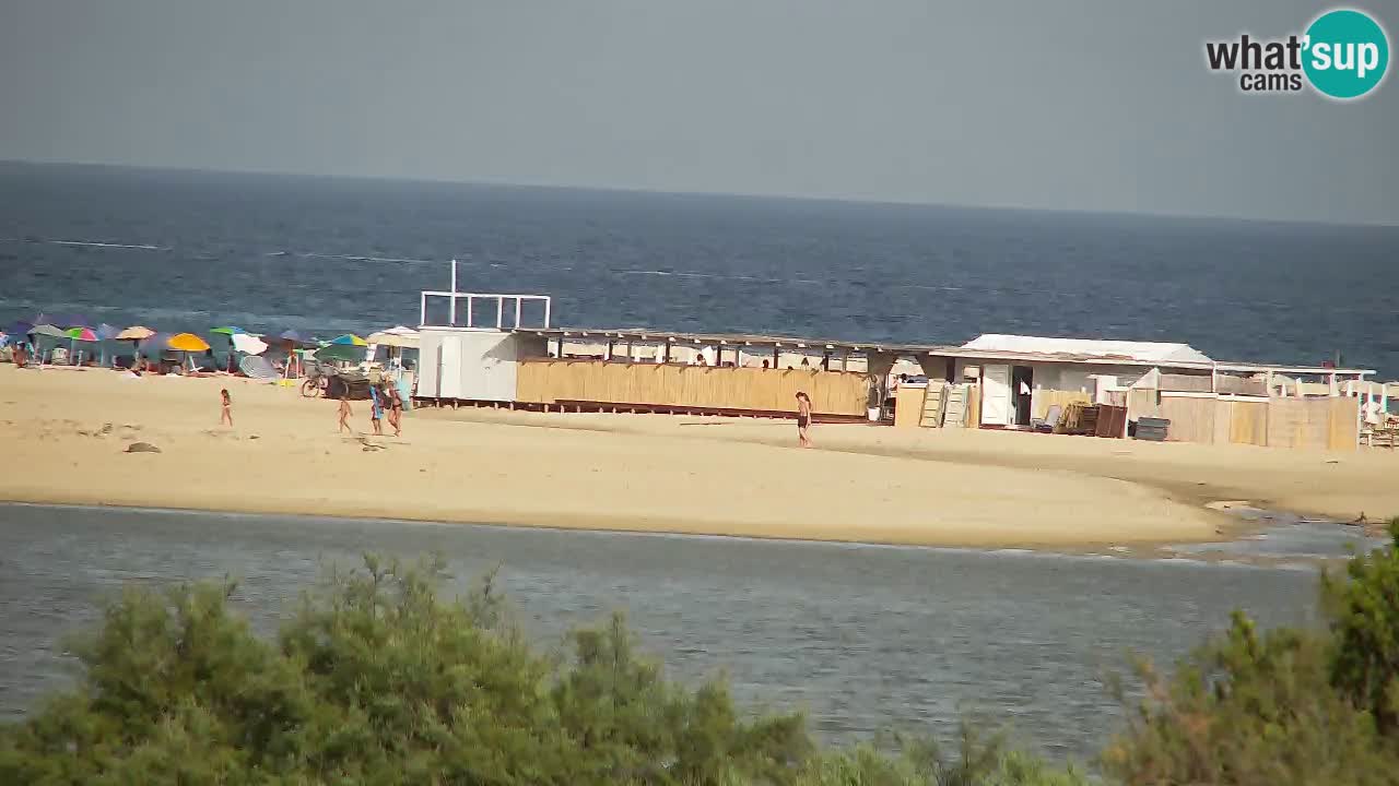 Webcam Chia – Live View of Su Giudeu Beach