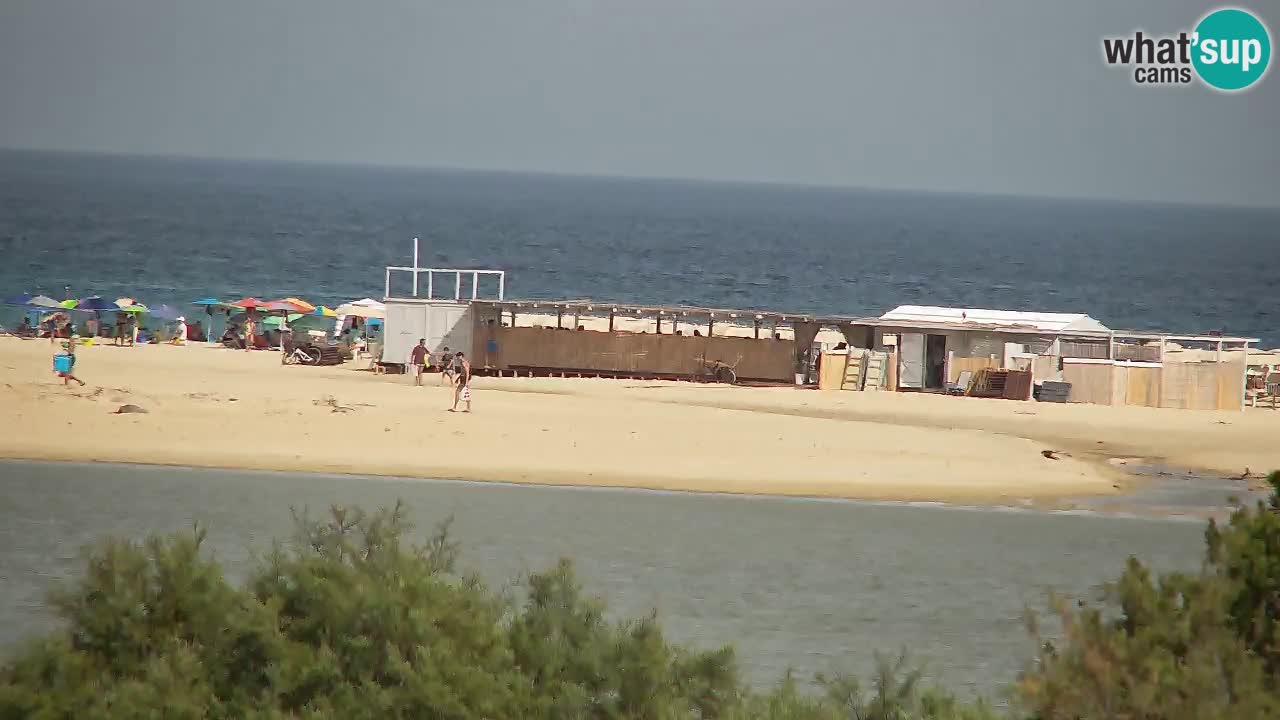 Webcam Chia – Live View of Su Giudeu Beach