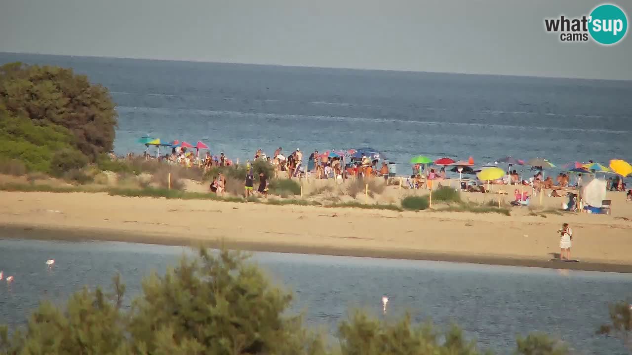 Webcam Chia – Live View of Su Giudeu Beach
