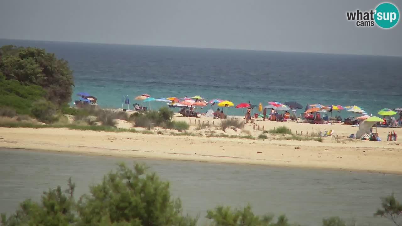 Webcam Chia – Live View of Su Giudeu Beach