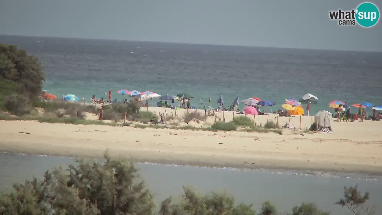Webcam Chia – Live View of Su Giudeu Beach