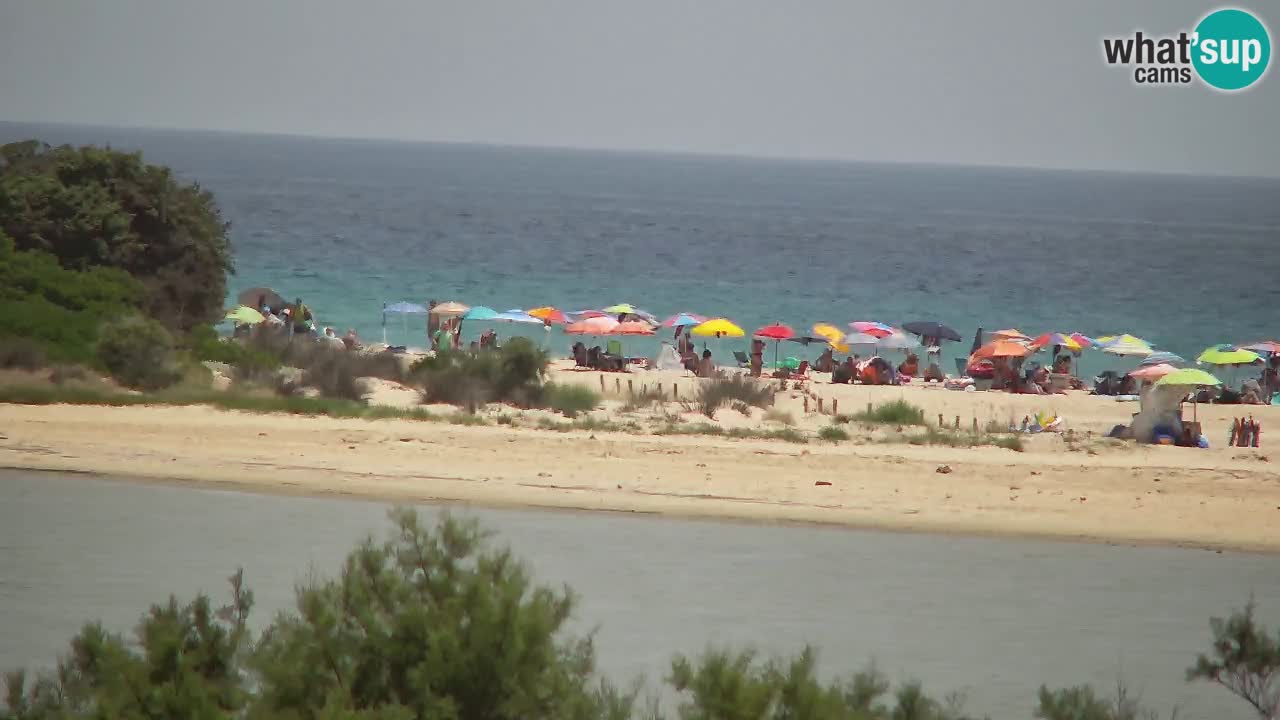 Web kamera Chia – Pogled uživo na plažu Su Giudeu