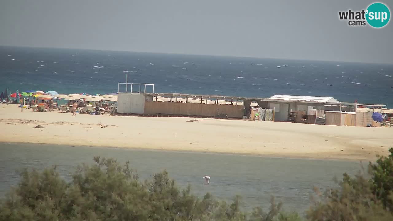 Webcam Chia – Liveblick auf den Strand Su Giudeu