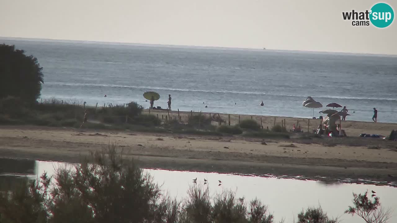 Webcam Chia – Live View of Su Giudeu Beach
