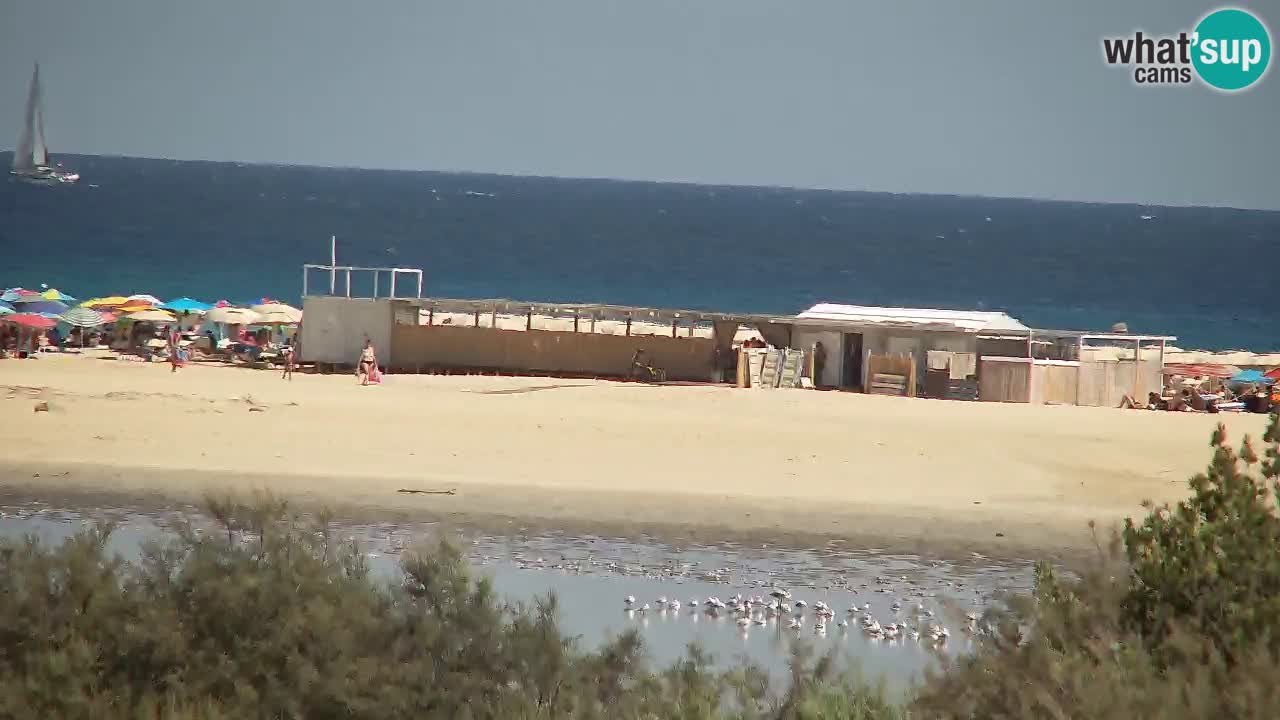 Webcam Chia – Liveblick auf den Strand Su Giudeu