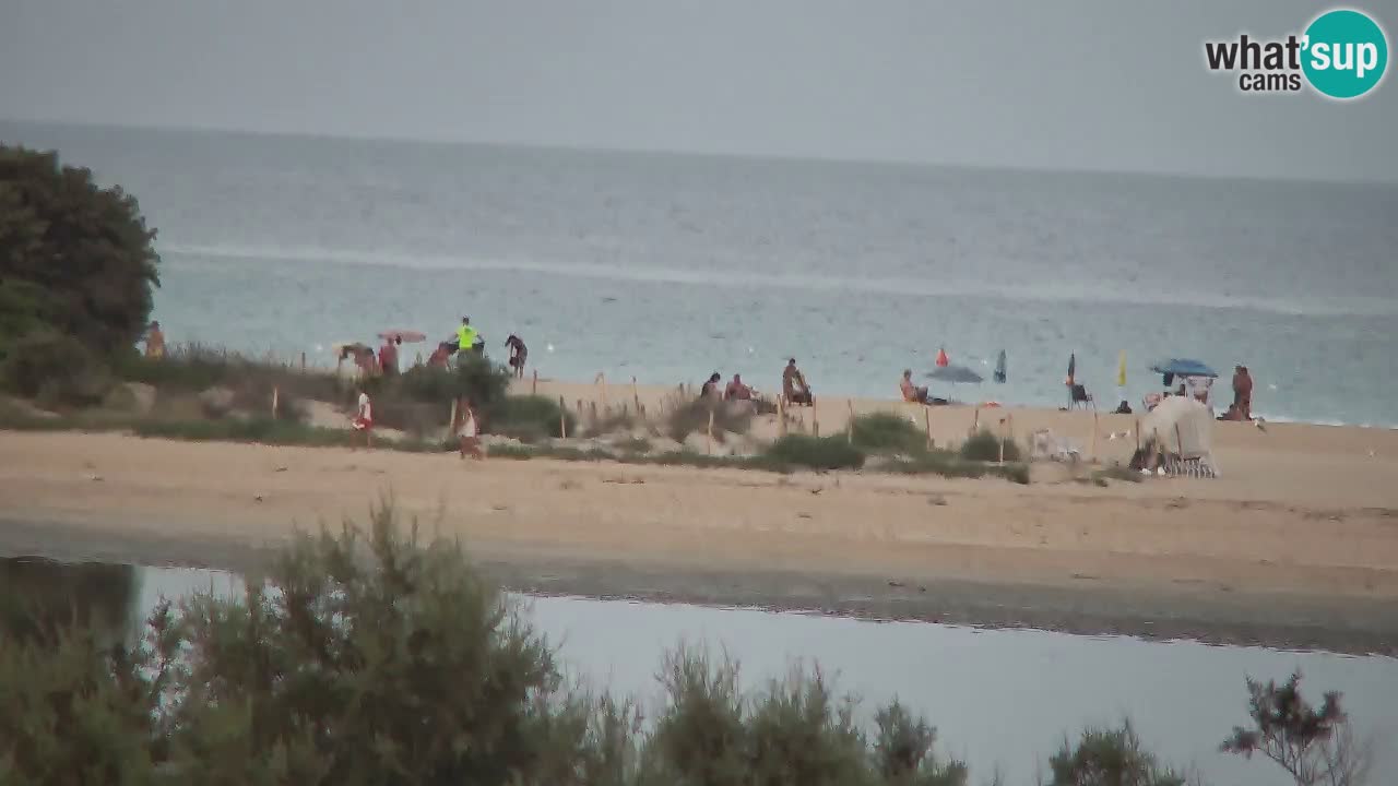 Webcam Chia – Vue en direct de la plage Su Giudeu