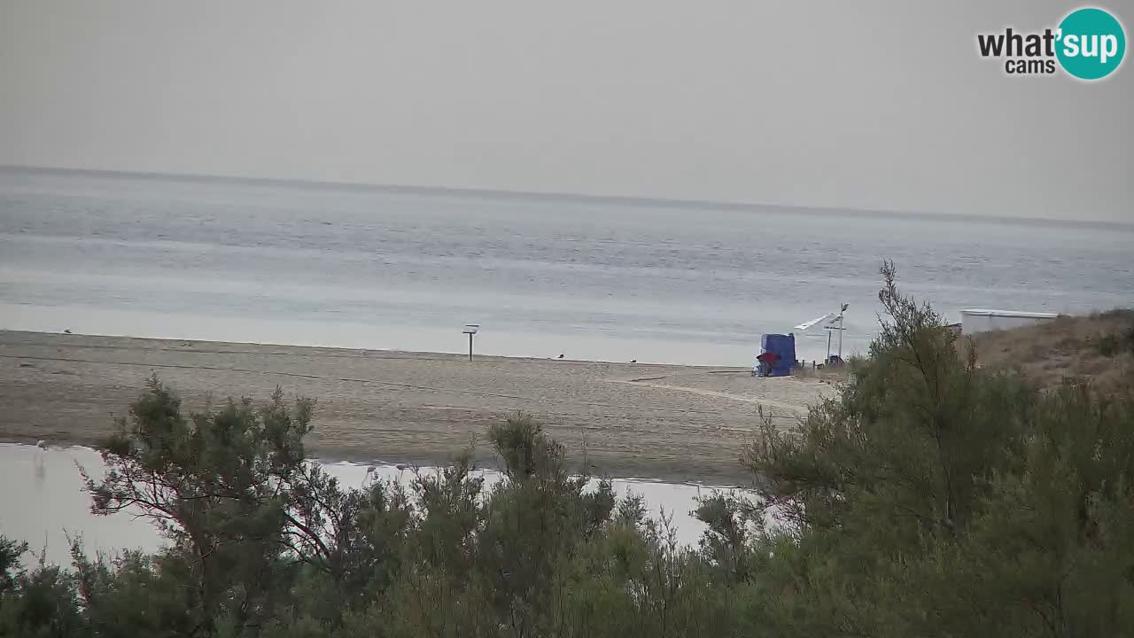 Webcam Chia – Live View of Su Giudeu Beach