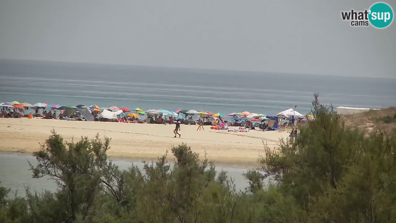 Webcam Chia – Vista en directo de la playa Su Giudeu
