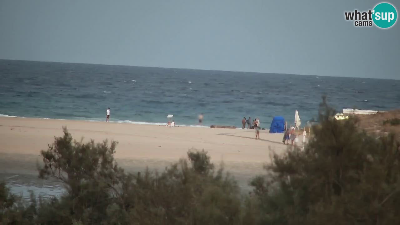 Webcam Chia – Vue en direct de la plage Su Giudeu