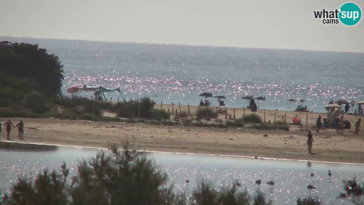 Webcam Chia – Vista en directo de la playa Su Giudeu