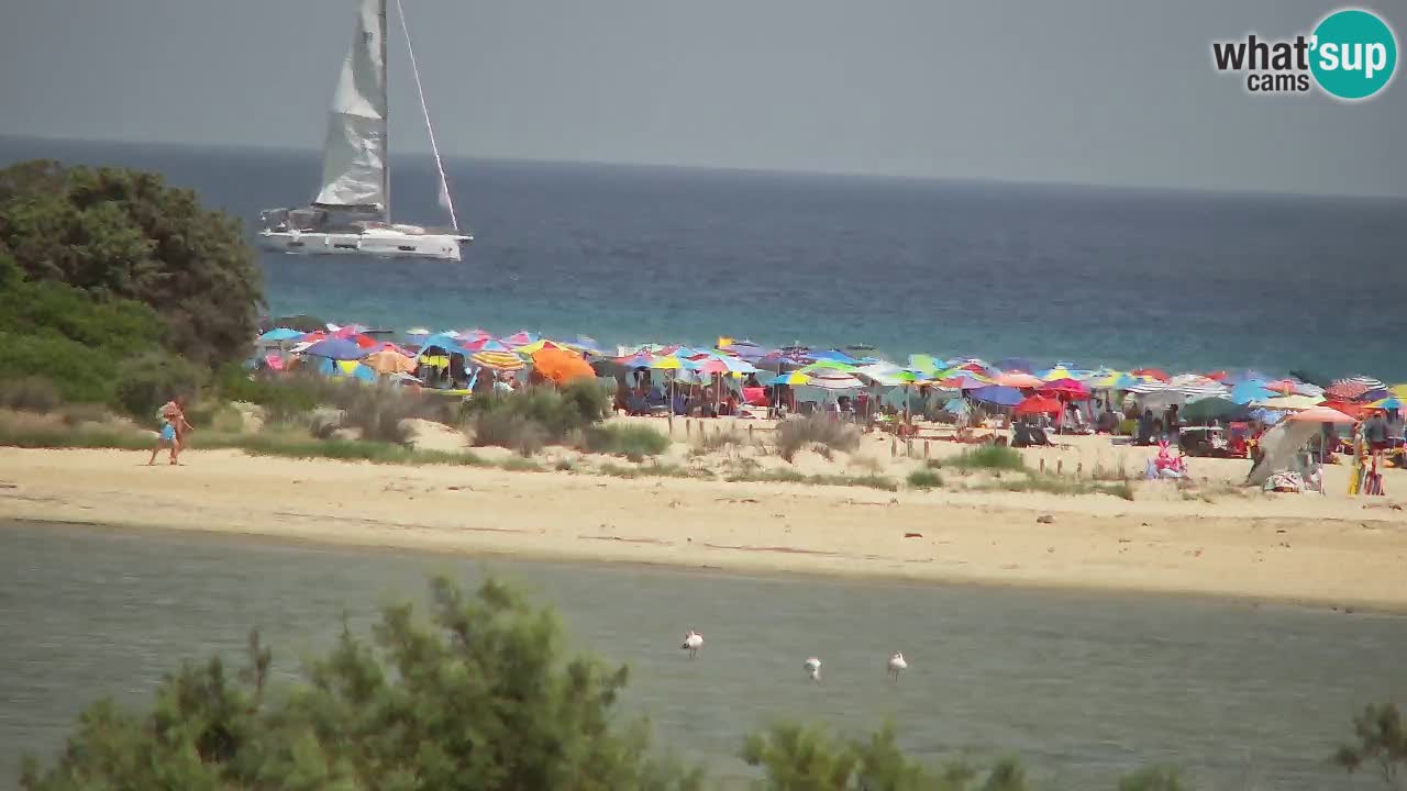 Webcam Chia – Liveblick auf den Strand Su Giudeu