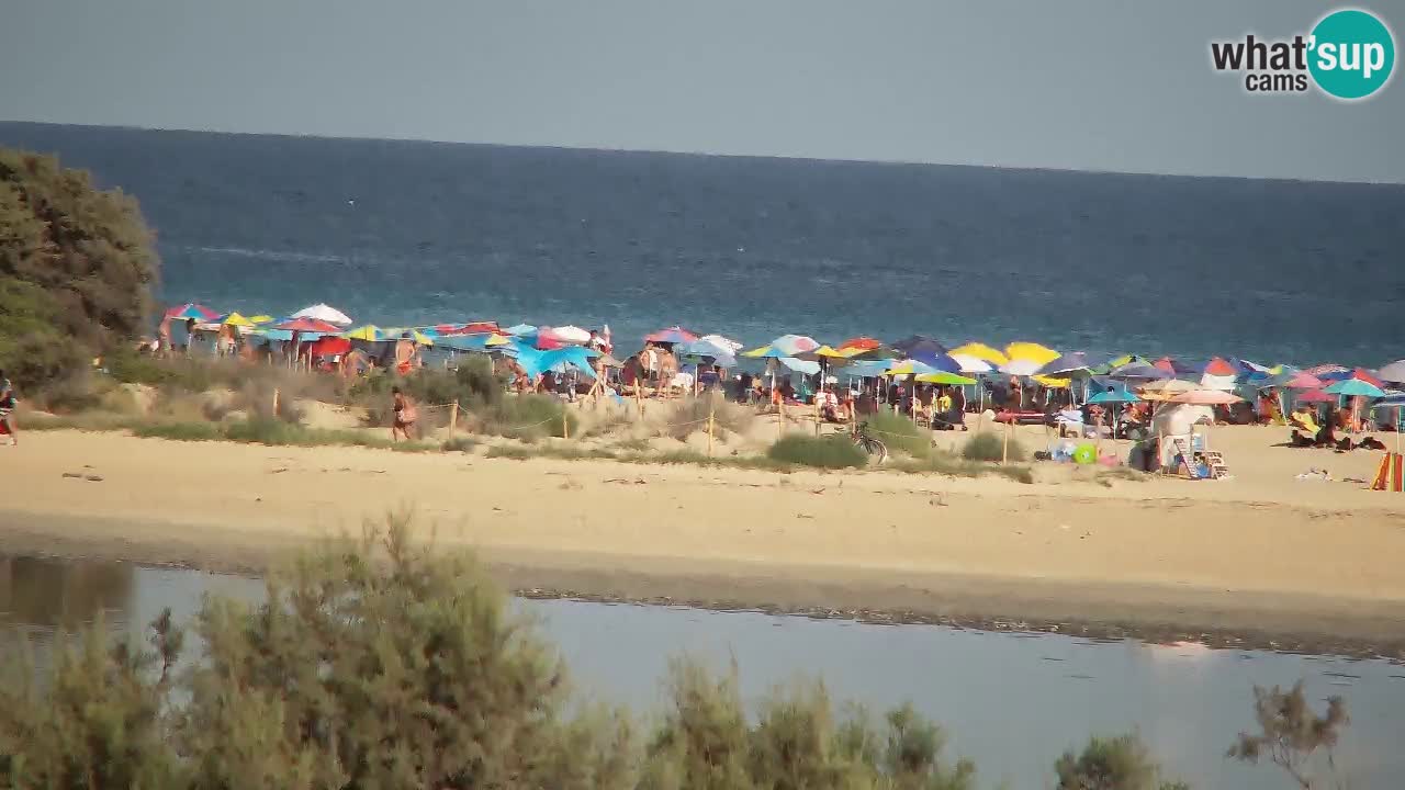 Spletna kamera Chia – Pogled v živo na plažo Su Giudeu