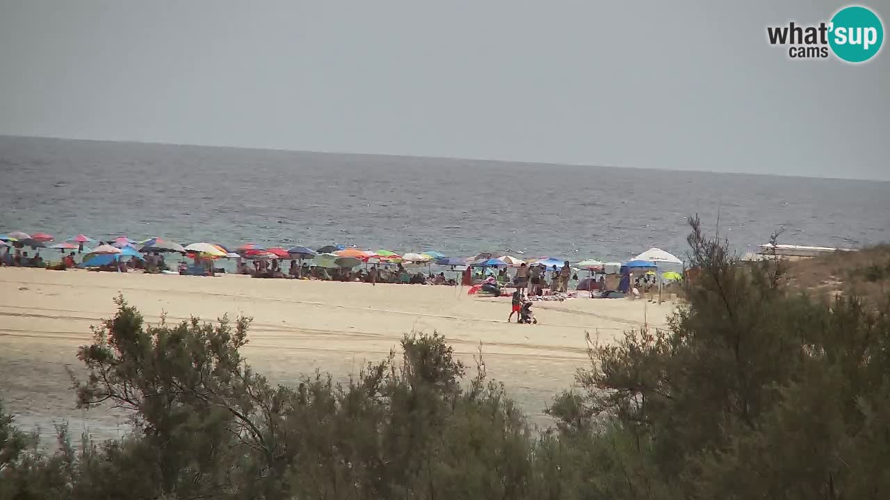 Webcam Chia – Vue en direct de la plage Su Giudeu
