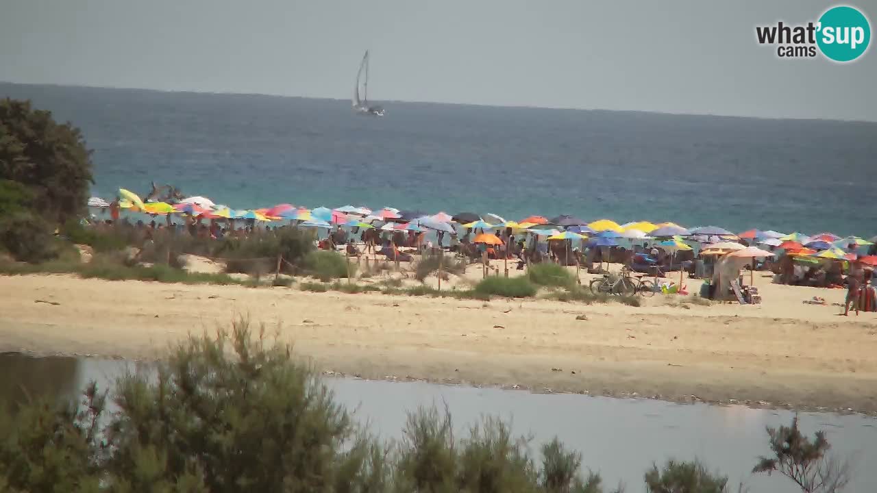 Web kamera Chia – Pogled uživo na plažu Su Giudeu