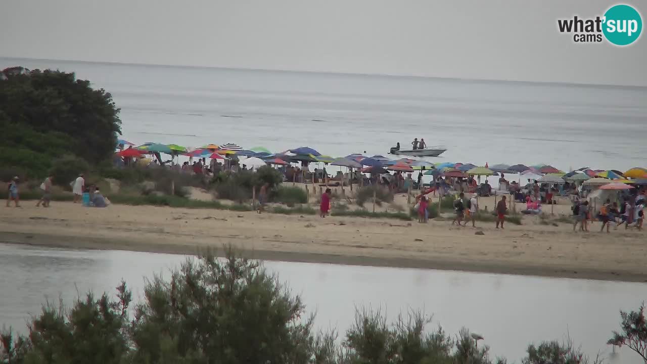 Webcam Chia – Spiaggia Su Giudeu in diretta