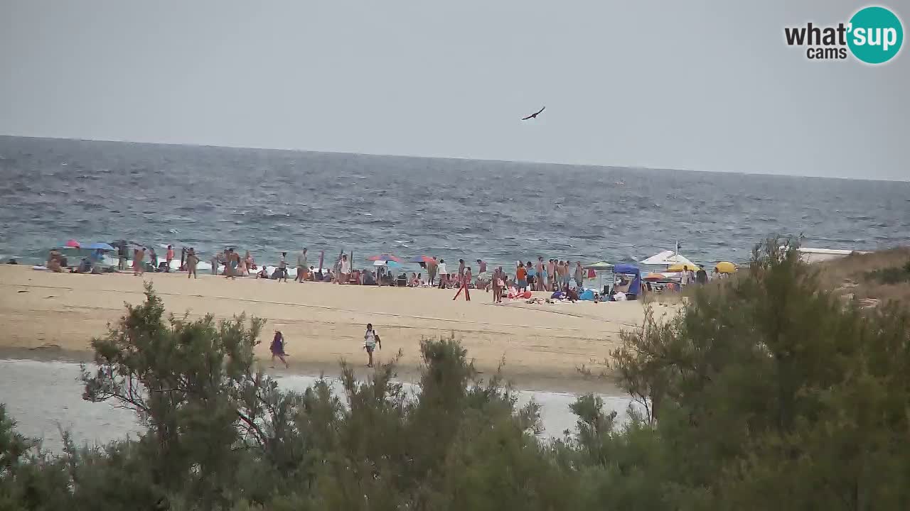 Webcam Chia – Live View of Su Giudeu Beach