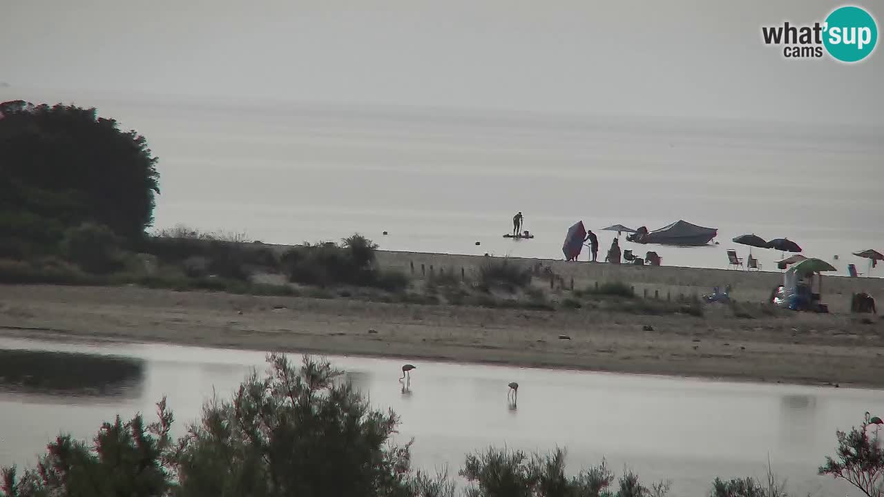 Spletna kamera Chia – Pogled v živo na plažo Su Giudeu