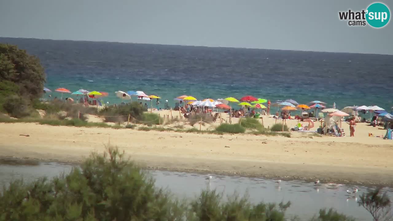 Webcam Chia – Vista en directo de la playa Su Giudeu