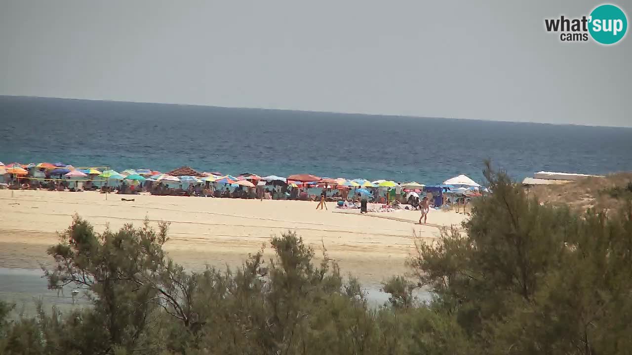 Webcam Chia – Liveblick auf den Strand Su Giudeu