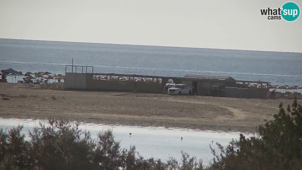 Webcam Chia – Vue en direct de la plage Su Giudeu