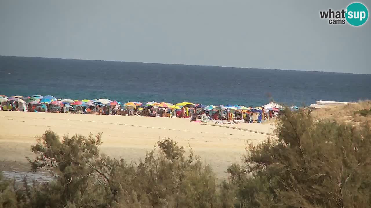 Webcam Chia – Live View of Su Giudeu Beach