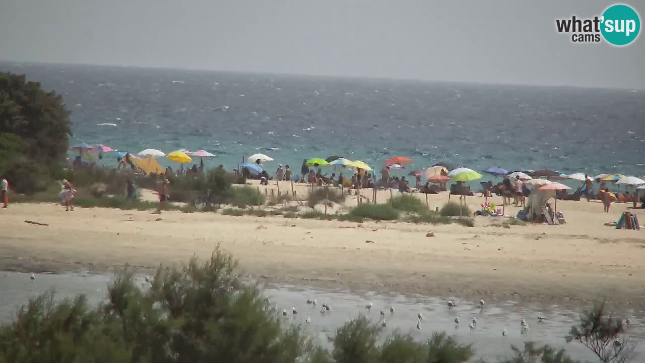 Webcam Chia – Vue en direct de la plage Su Giudeu