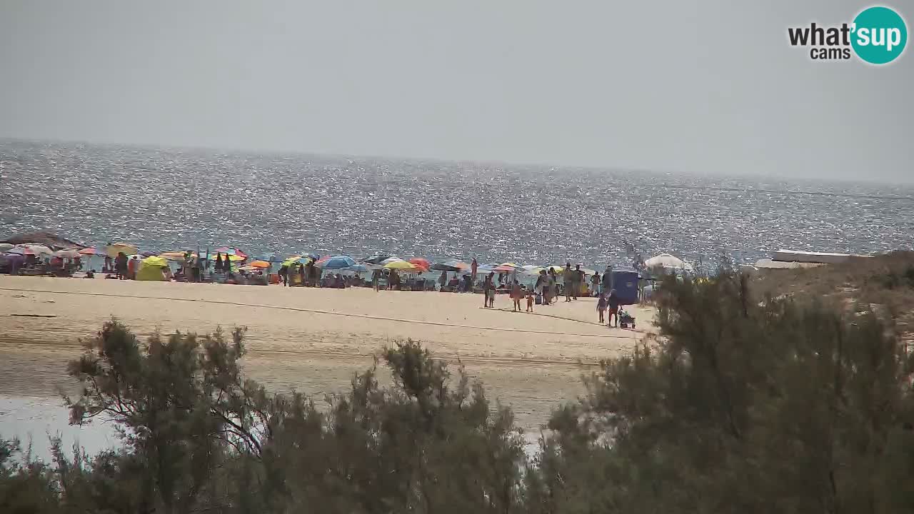 Webcam Chia – Live View of Su Giudeu Beach
