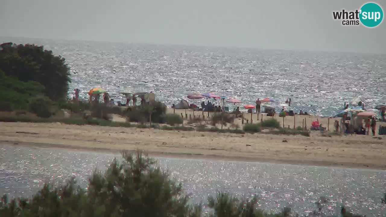 Webcam Chia – Live View of Su Giudeu Beach