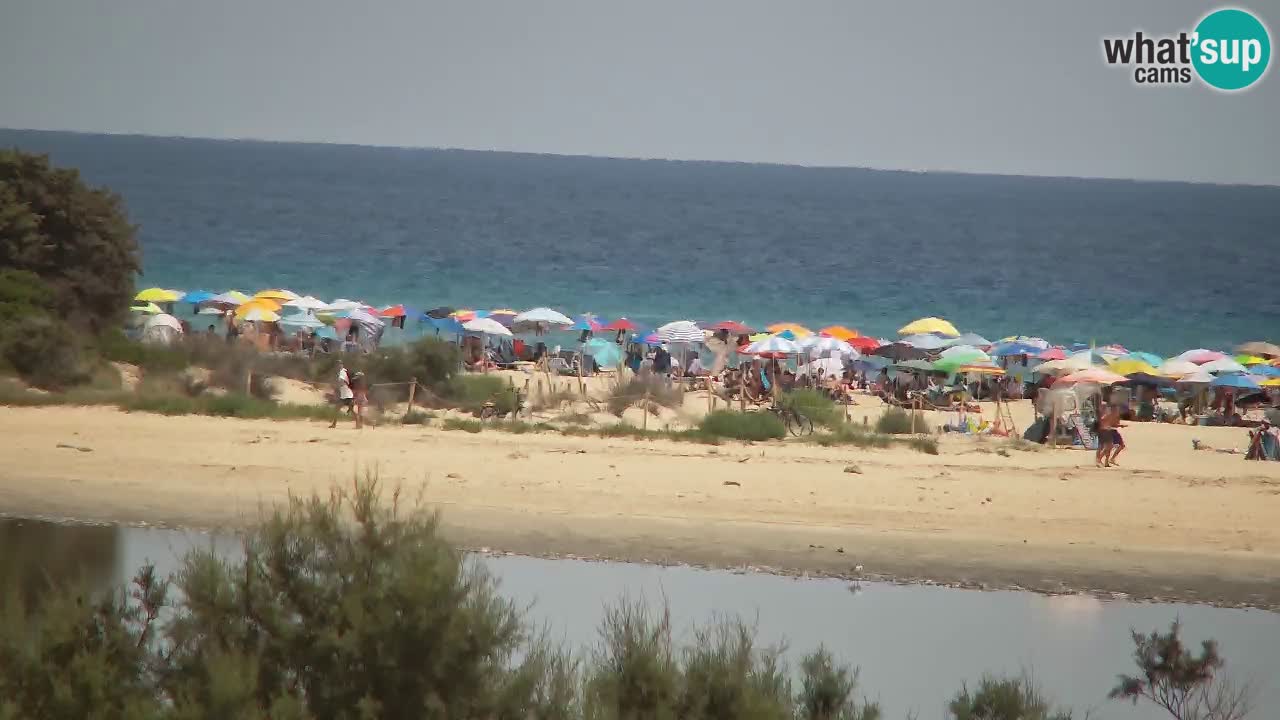 Webcam Chia – Liveblick auf den Strand Su Giudeu