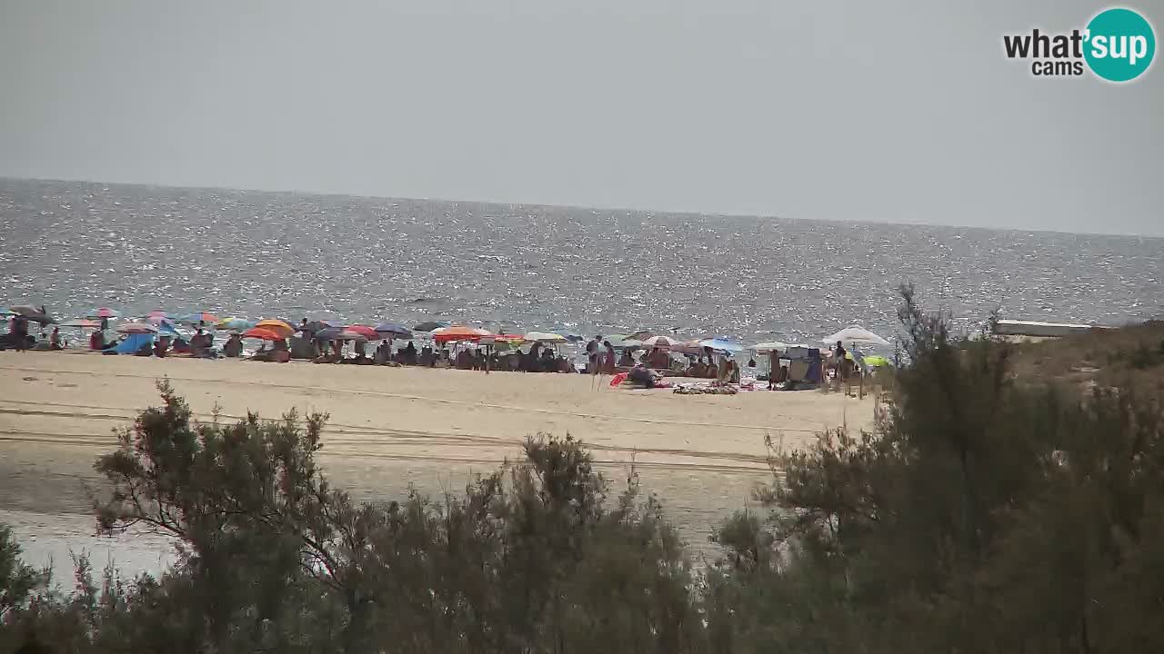 Webcam Chia – Live View of Su Giudeu Beach