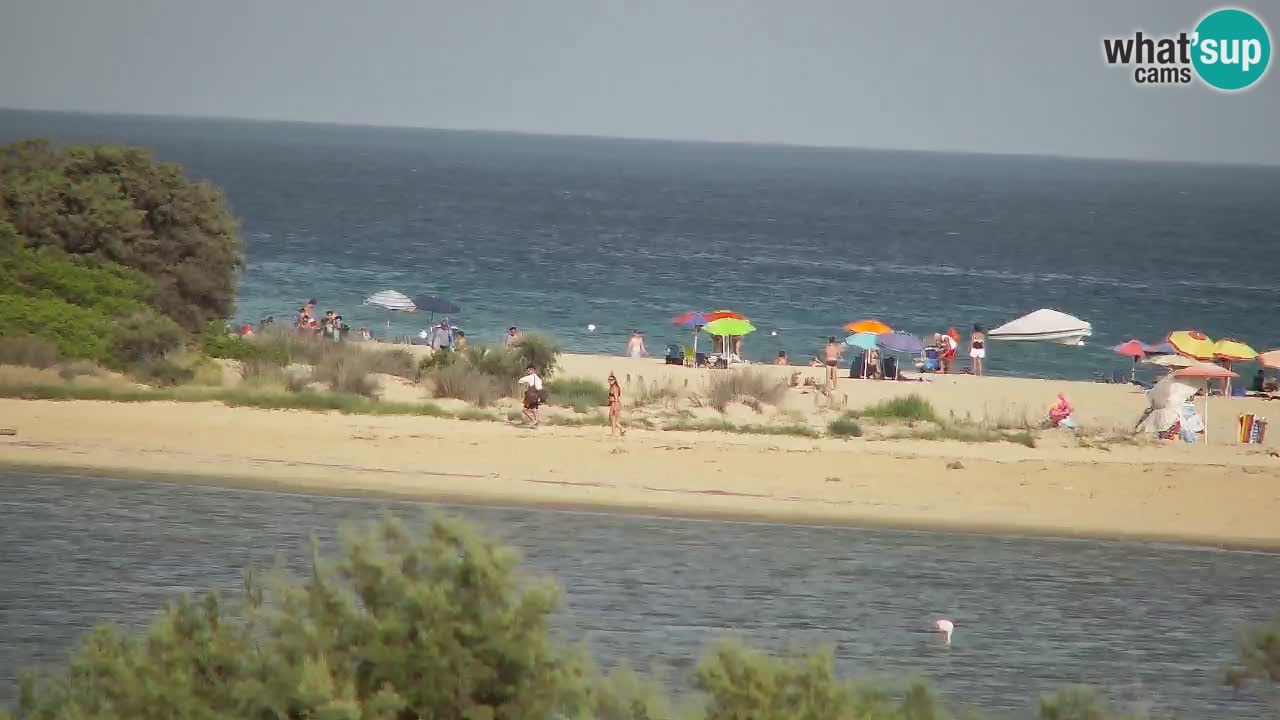 Webcam Chia – Live View of Su Giudeu Beach