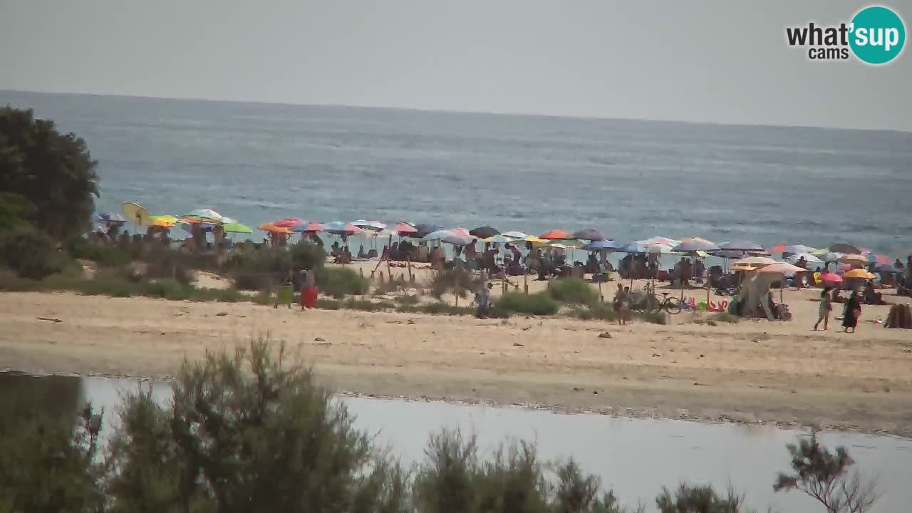Webcam Chia – Live View of Su Giudeu Beach
