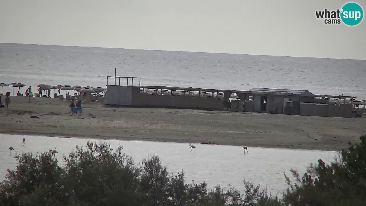 Webcam Chia – Live View of Su Giudeu Beach