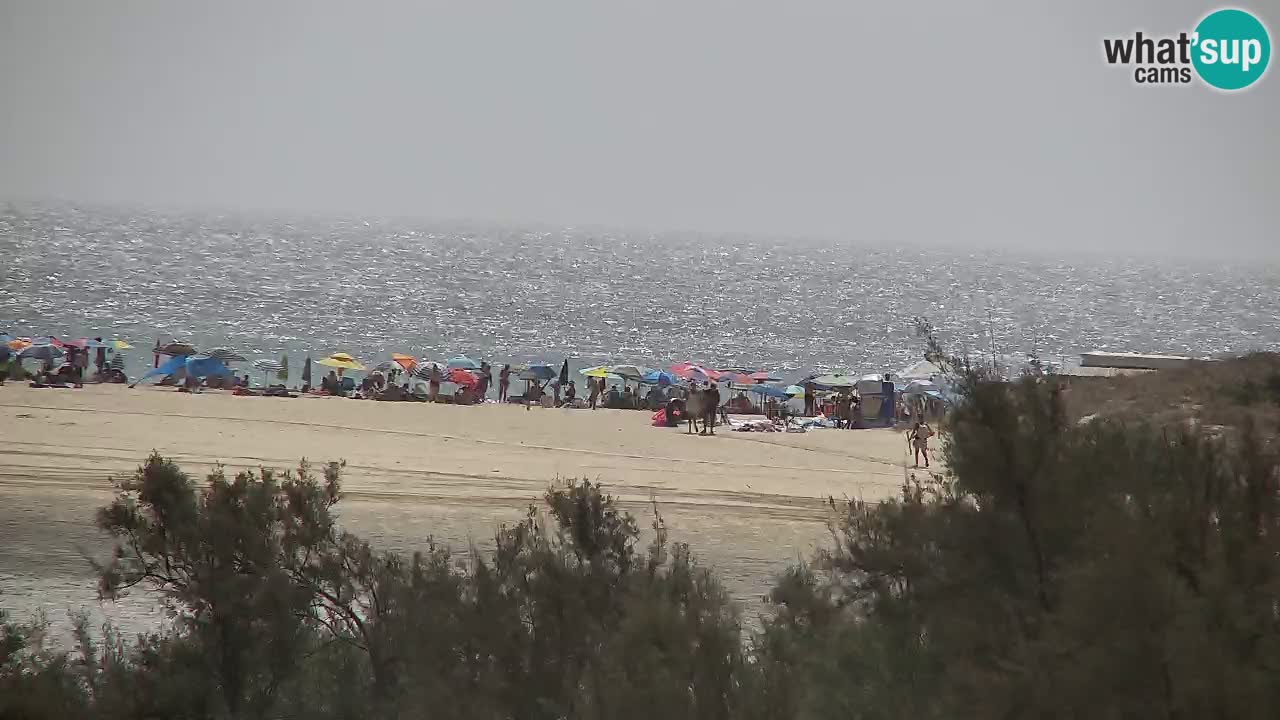 Webcam Chia – Vue en direct de la plage Su Giudeu