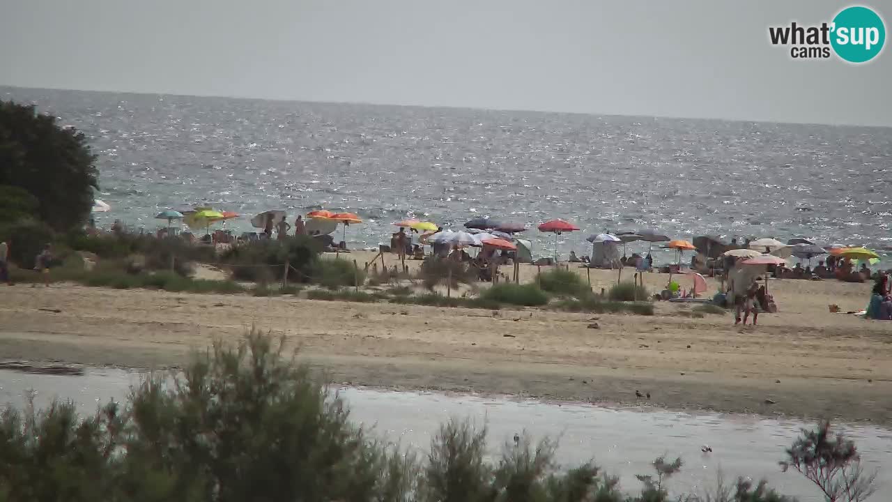 Spletna kamera Chia – Pogled v živo na plažo Su Giudeu