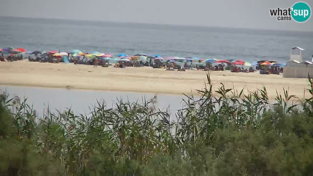 Webcam Chia – Live View of Su Giudeu Beach