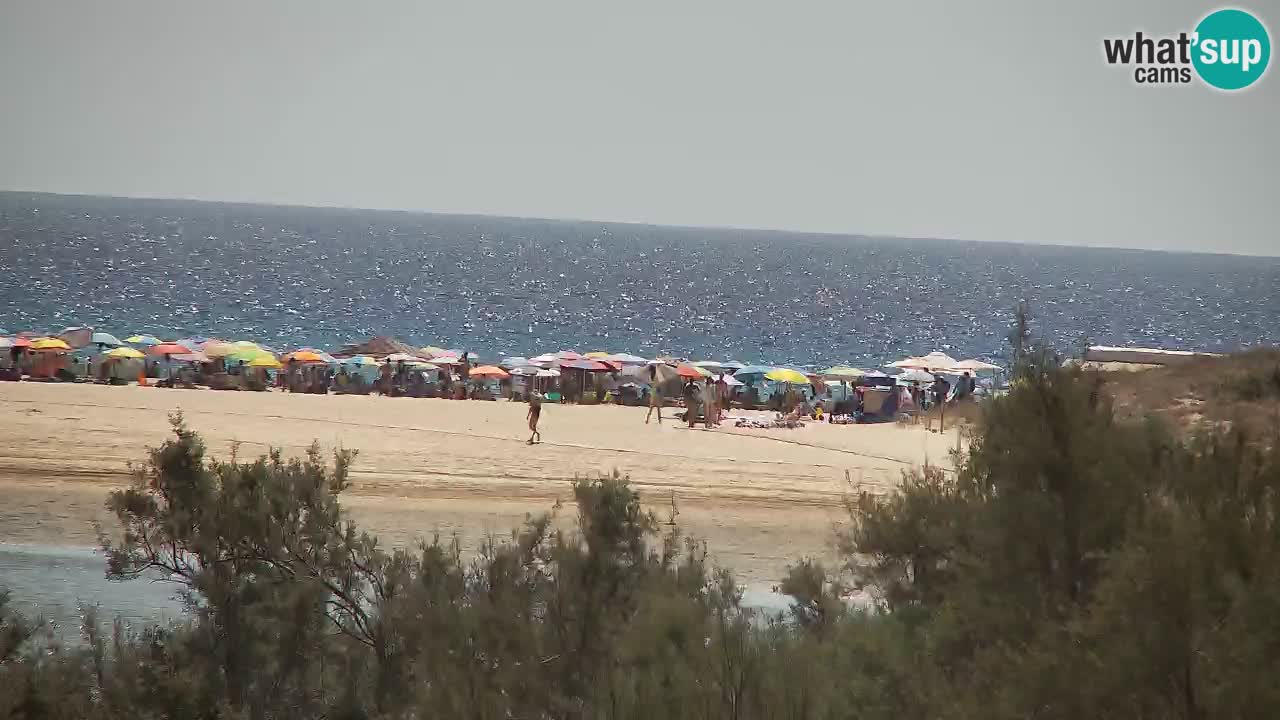 Webcam Chia – Liveblick auf den Strand Su Giudeu