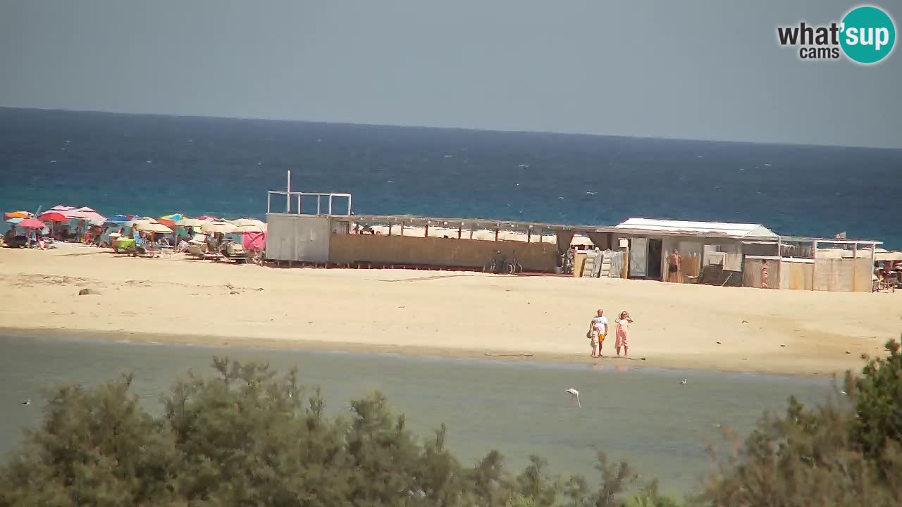 Webcam Chia – Live View of Su Giudeu Beach