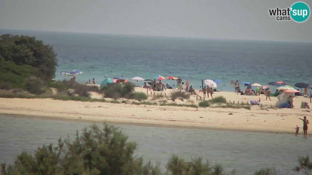 Webcam Chia – Vue en direct de la plage Su Giudeu