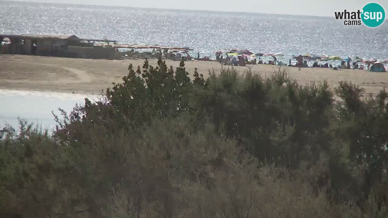 Webcam Chia – Vista en directo de la playa Su Giudeu