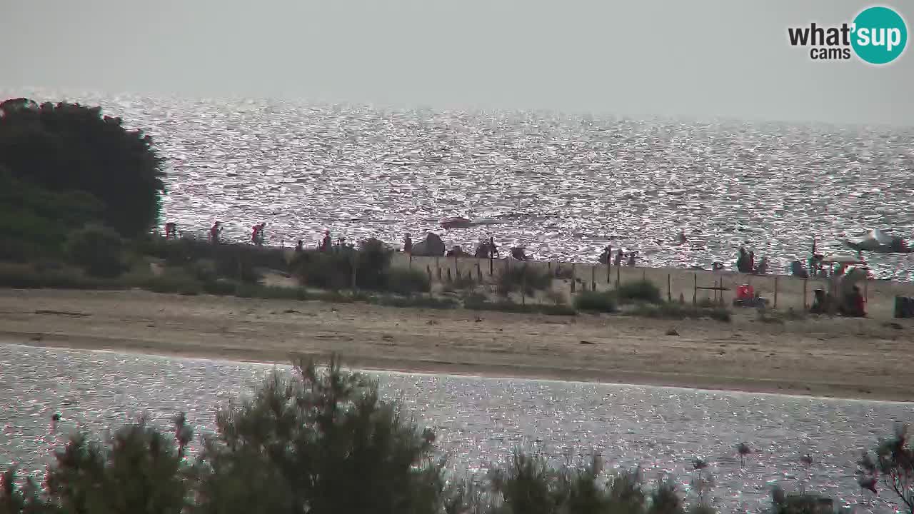 Webcam Chia – Vista en directo de la playa Su Giudeu