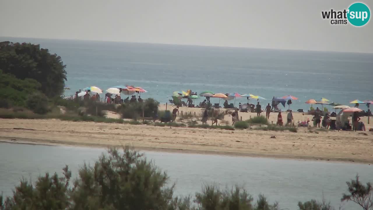 Webcam Chia – Liveblick auf den Strand Su Giudeu