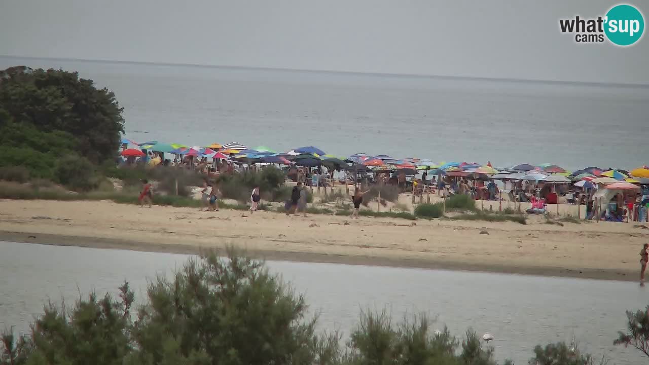 Webcam Chia – Liveblick auf den Strand Su Giudeu