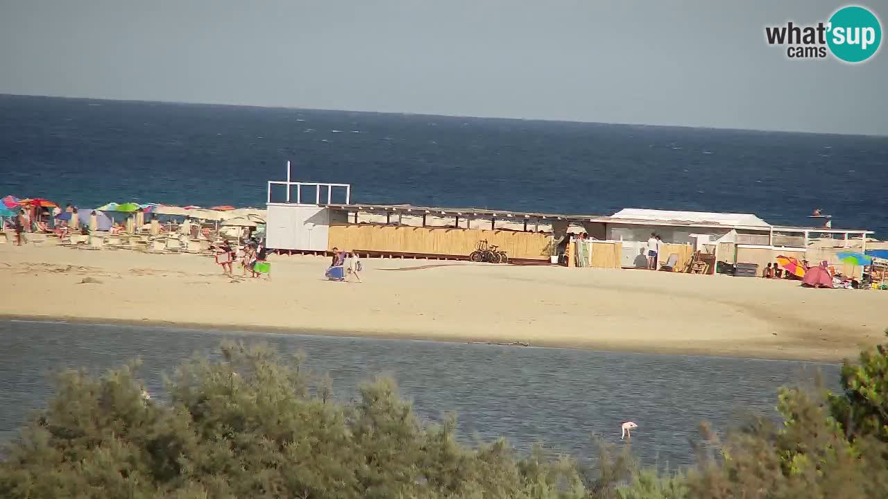 Webcam Chia – Vue en direct de la plage Su Giudeu