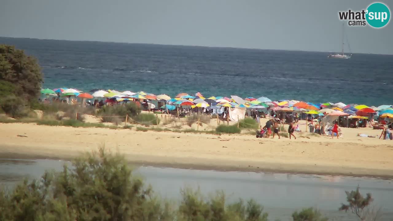 Webcam Chia – Vue en direct de la plage Su Giudeu