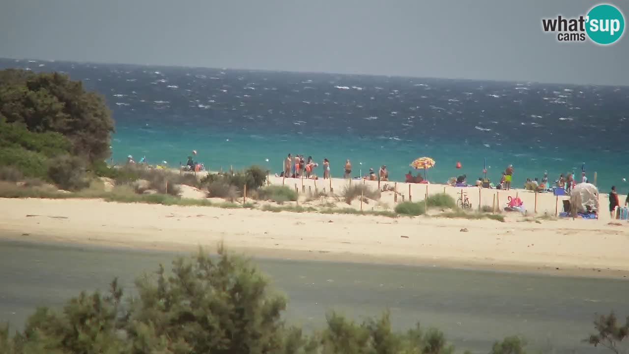 Webcam Chia – Vue en direct de la plage Su Giudeu
