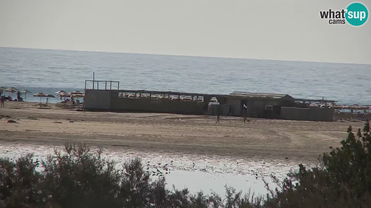 Webcam Chia – Vista en directo de la playa Su Giudeu